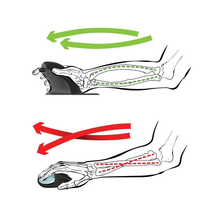 Penguin 3-in-1 molempikätinen pystyhiiri - S-koko